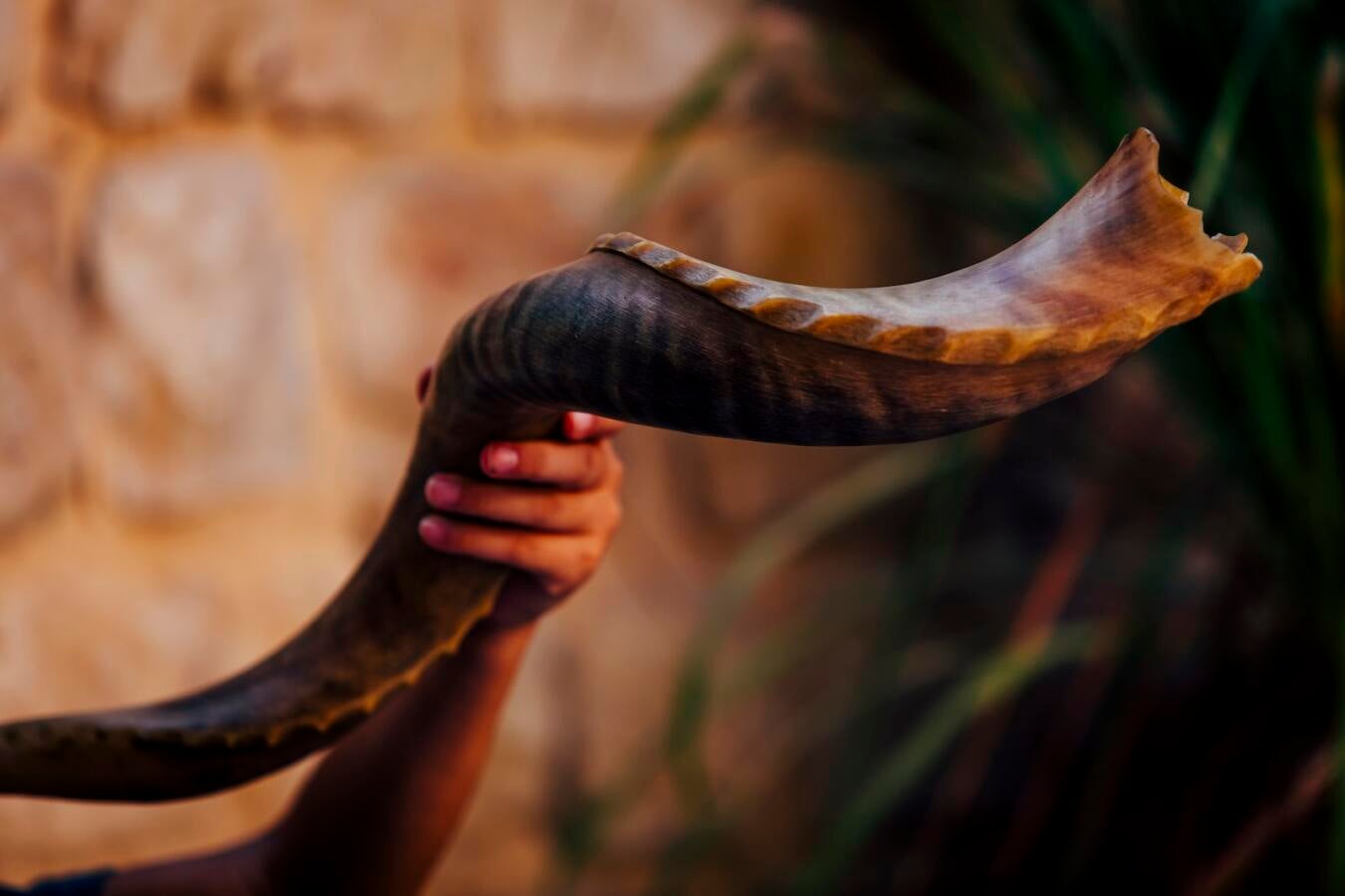 shofar