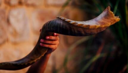 shofar