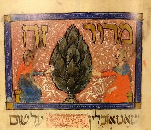 A detail from the Sarajevo Haggadah, in which maror, the bitter herb, is illustrated with an artichoke. (Wikimedia Commons)