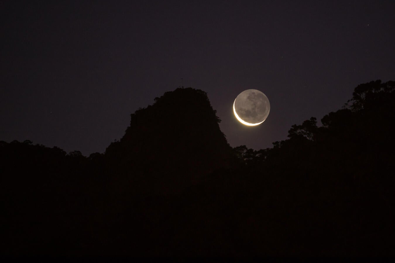 photo of a new moon rising over a dark forest