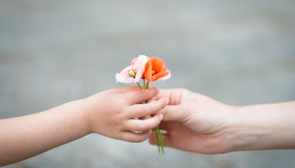 hands holding flowers