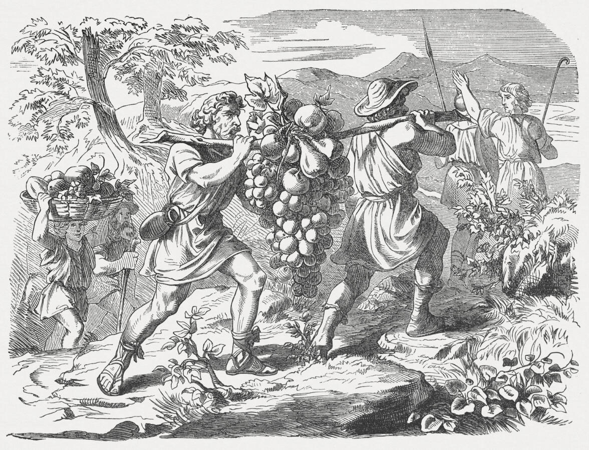 engraving of two men carrying a huge cluster of grapes