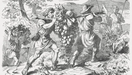 engraving of two men carrying a huge cluster of grapes