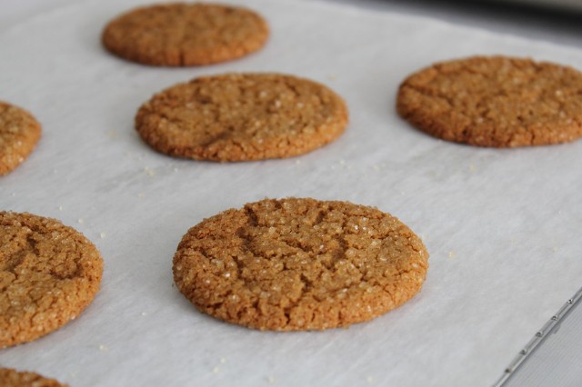 ginger snap cookie