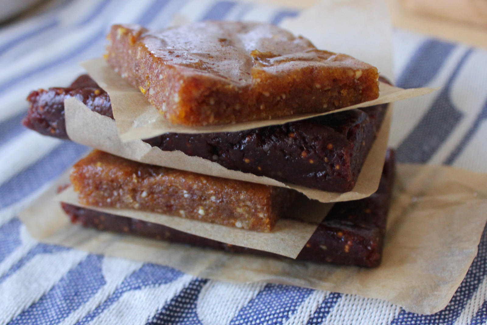 no-bake vegan energy bars gluten-free dairy-free passover snack recipe