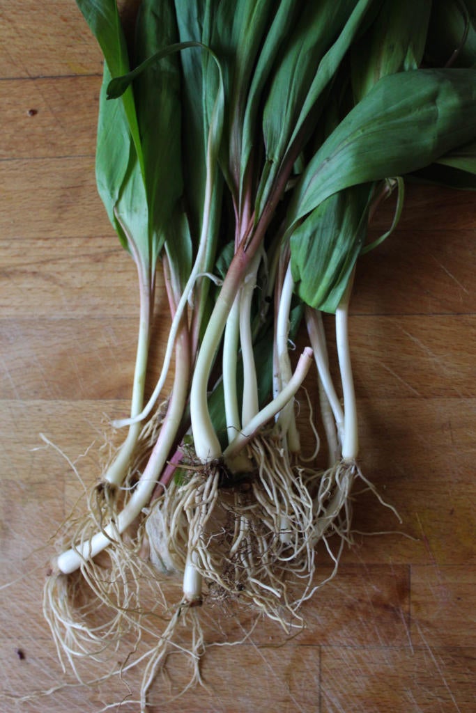 Matzah Brei with Ramp Pesto for Passover | The Nosher