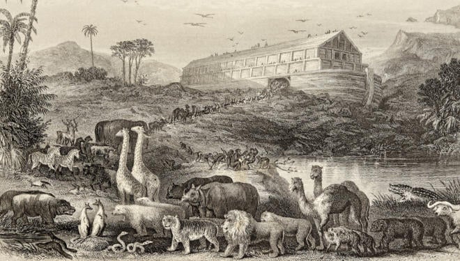 Parashat Noach Noah's Ark Bible Torah