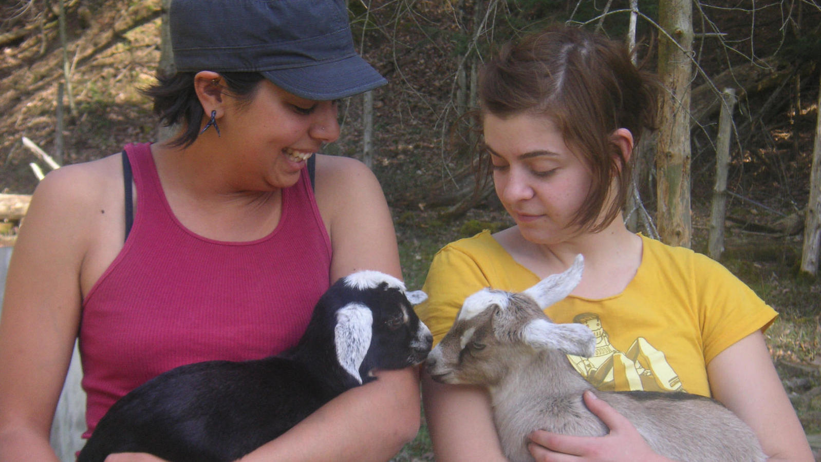 Ethical Treatment of Animals in Judaism | My Jewish Learning