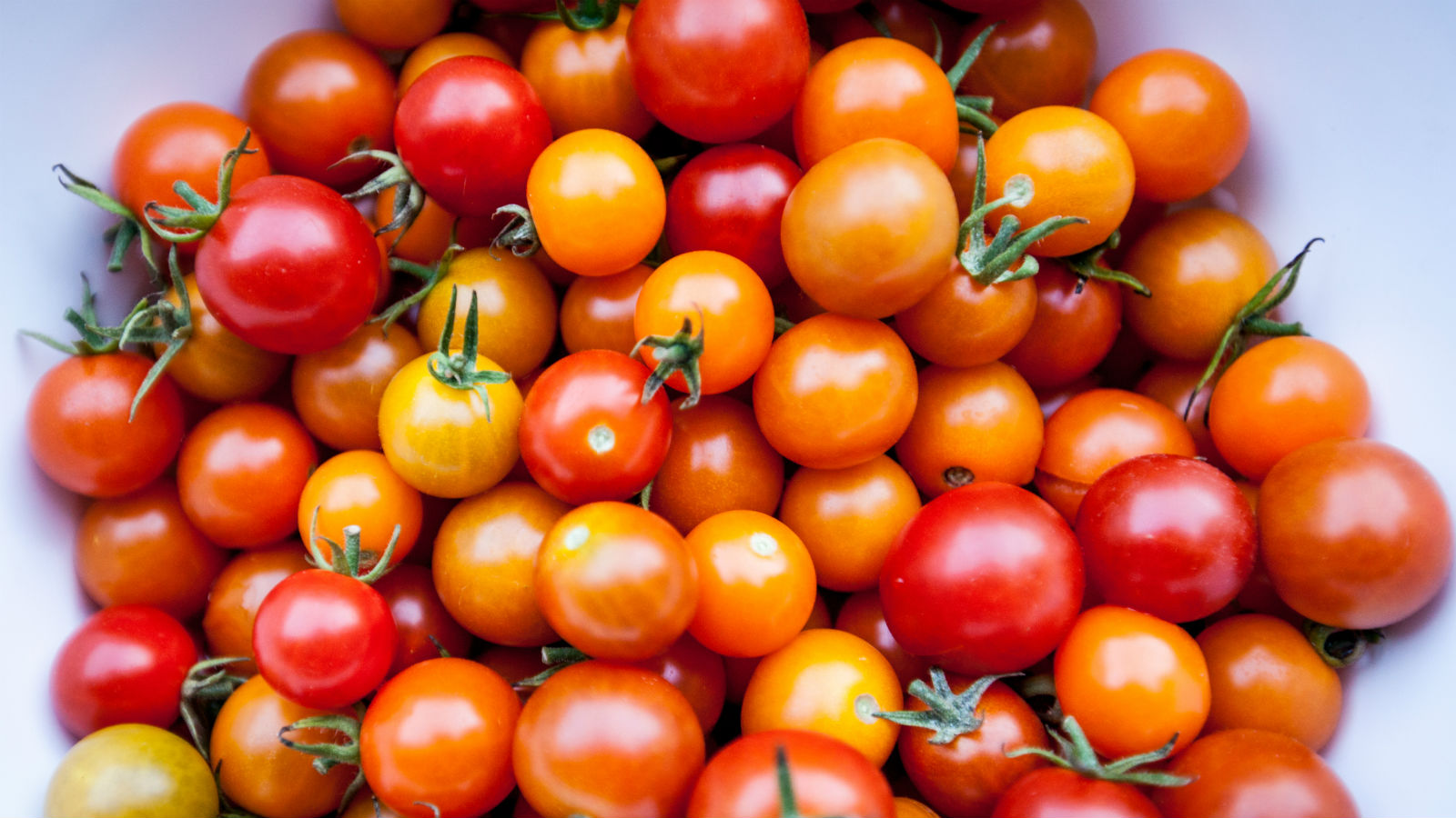 Orange Cherry Tomatoes