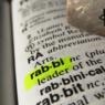 Rabbi dictionary definition