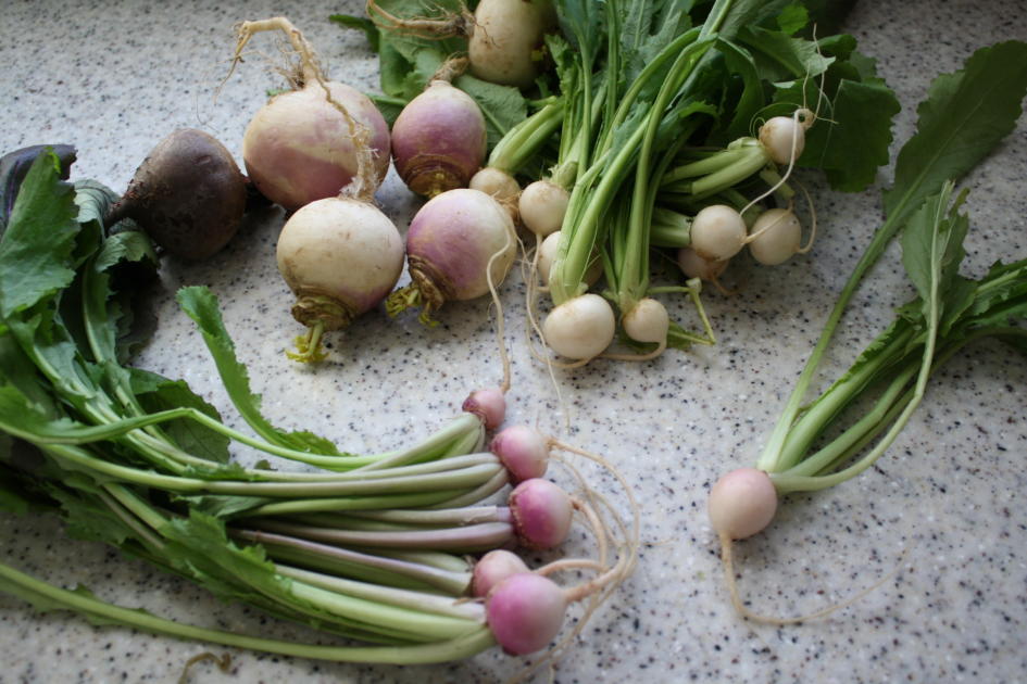 turnips