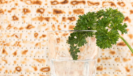 Passover holiday fresh green parsley and saltwater