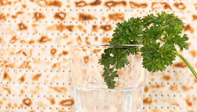 Passover holiday fresh green parsley and saltwater