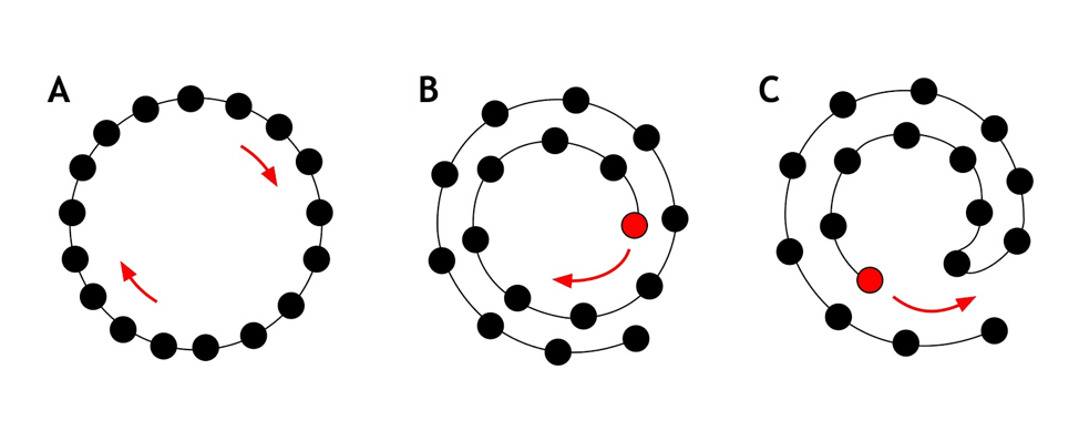 Diagram of hora configurations.