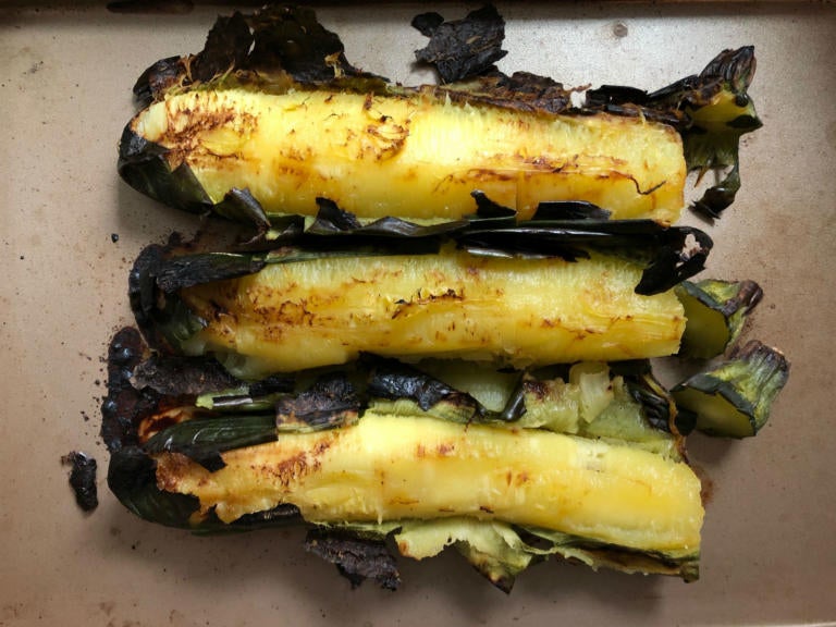 Zucchini