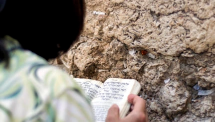 Over the shoulder shot of a woman praying at the Wailing Wall in Israel