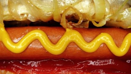 Class action lawsuit argues that Hebrew National hot dogs are not  completely kosher