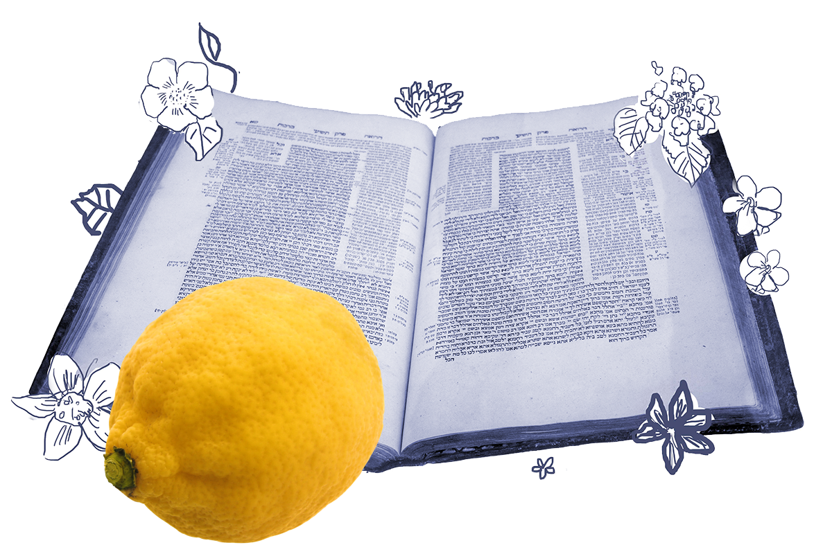 an etrog superimposed over a page of talmud