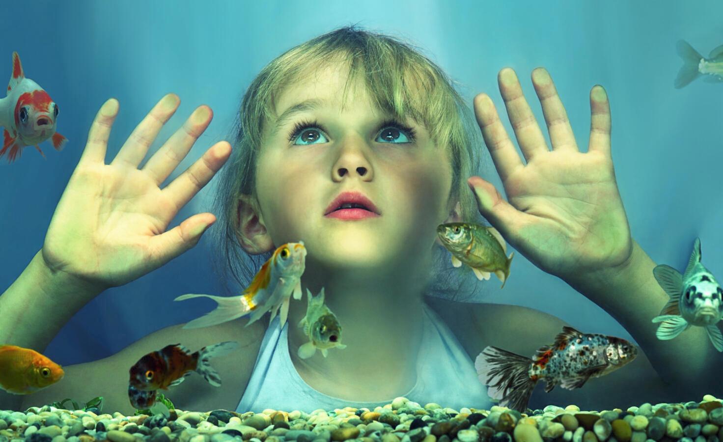 Girl (4-6) looking at fish in tank, hands pressed against glass