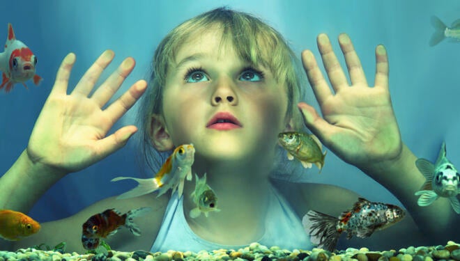 Girl (4-6) looking at fish in tank, hands pressed against glass