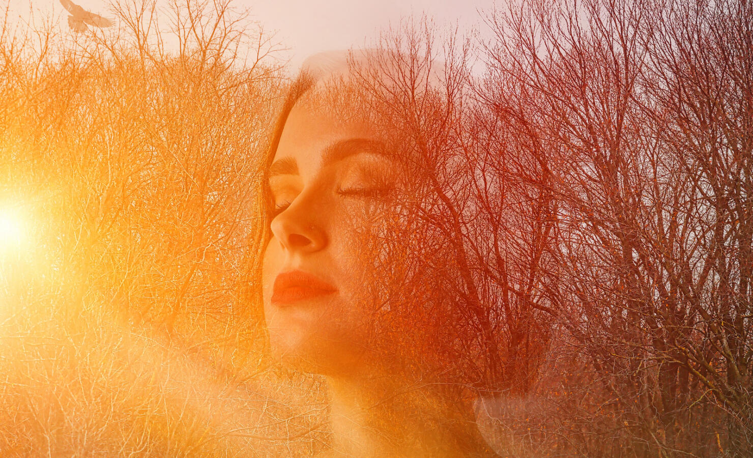 Multiple exposure of young woman changing into nature