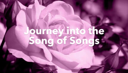 Journey into the song of songs