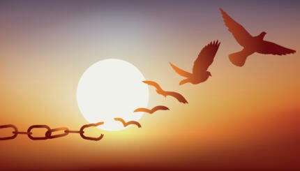 Concept of freedom regained, with chains that break and turn into a dove that flies away at sunset.