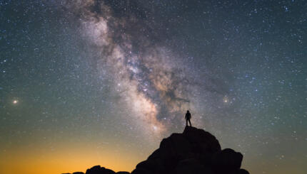 Silhouette of a person gazing at the sky.