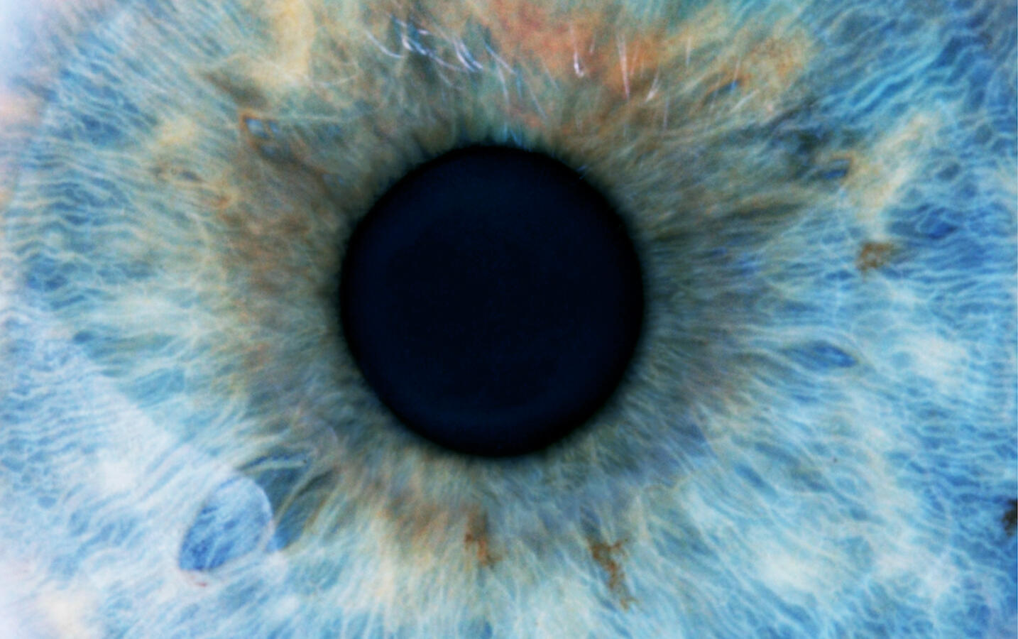 Dilated blue eye super close up