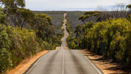 Road in Flinders Chase National Park, Kangaroo Island, Australia