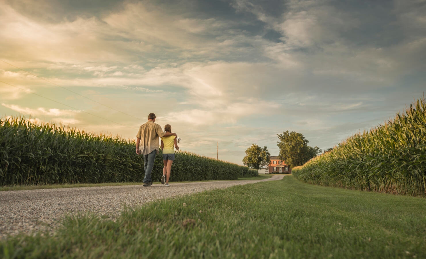 Caucasian father and daughter walking on dirt path by corn field