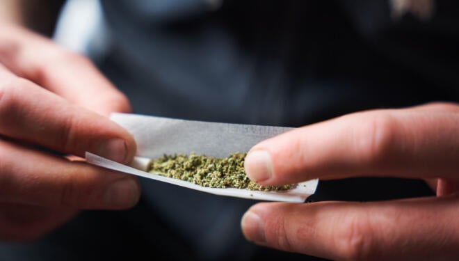 Close-up of a young adult rolling a marijuana joint against a blurred background. Man placing desiccated marijuana leaves inside rolling paper.