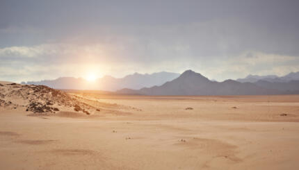 Sinai desert at sunset