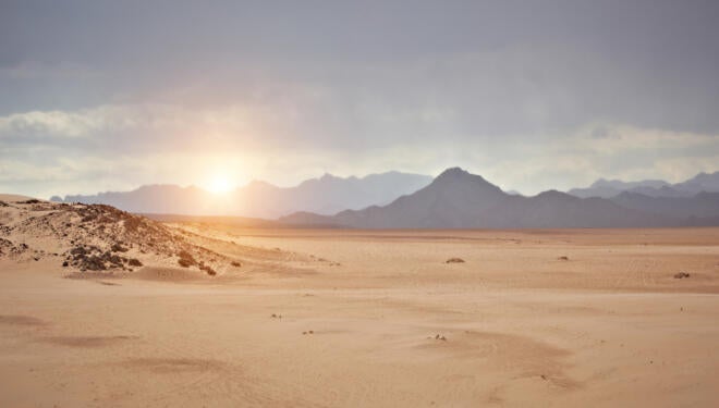 Sinai desert at sunset