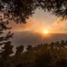 landscape photo of sunrise framed by trees