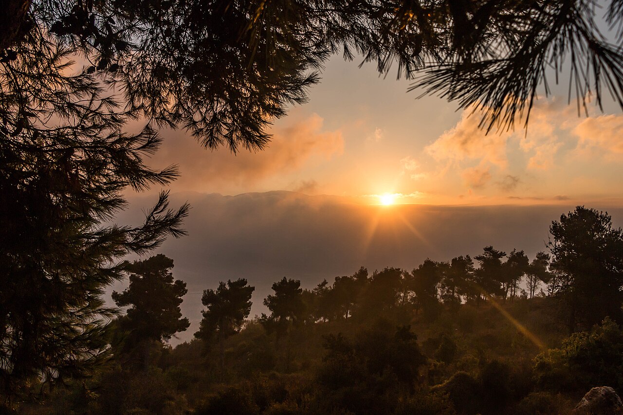 landscape photo of sunrise framed by trees
