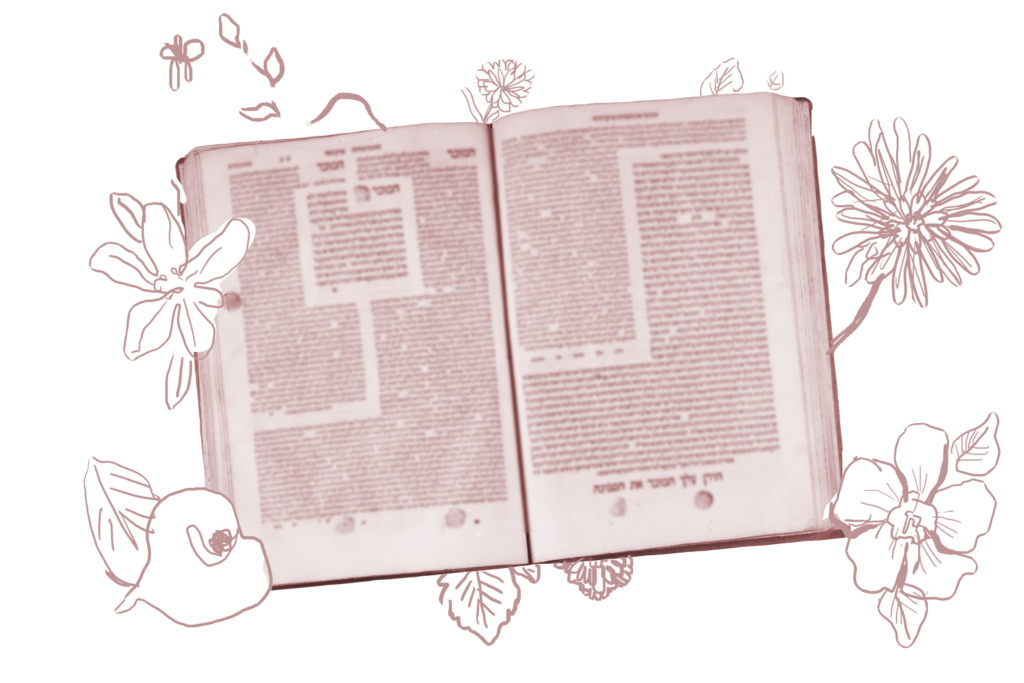 Sanhedrin 66 my jewish learning