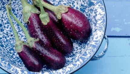 Eggplants.