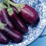 Eggplants.